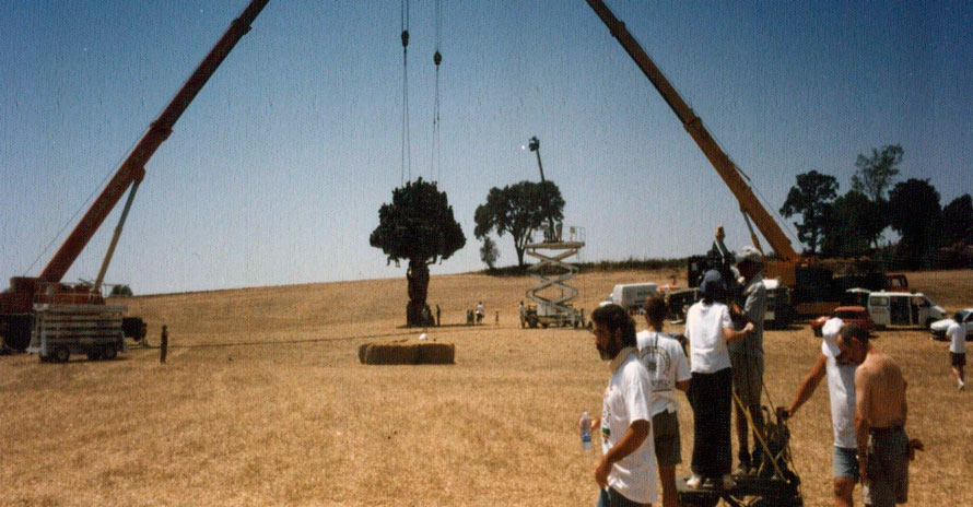 Escenografías | Publicidad árbol