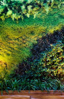 Reforma de vivienda - Pedralbes 40