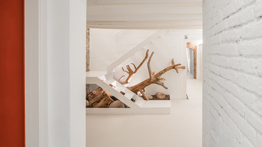 Reforma de vivienda - Salvadors 25