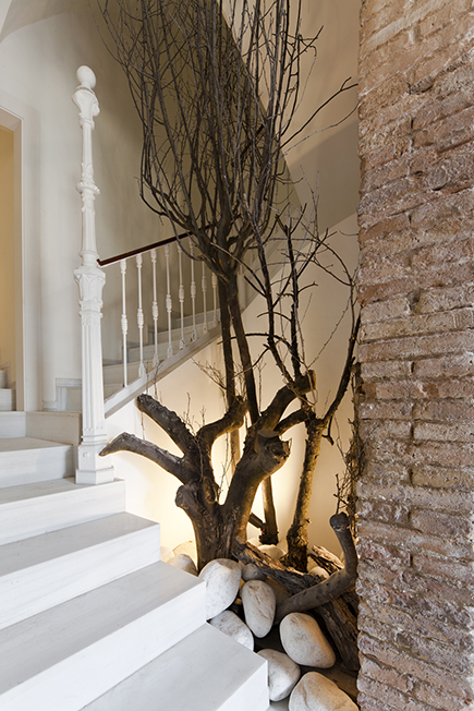 Rehabilitación de Edificios -Sant Pau 36